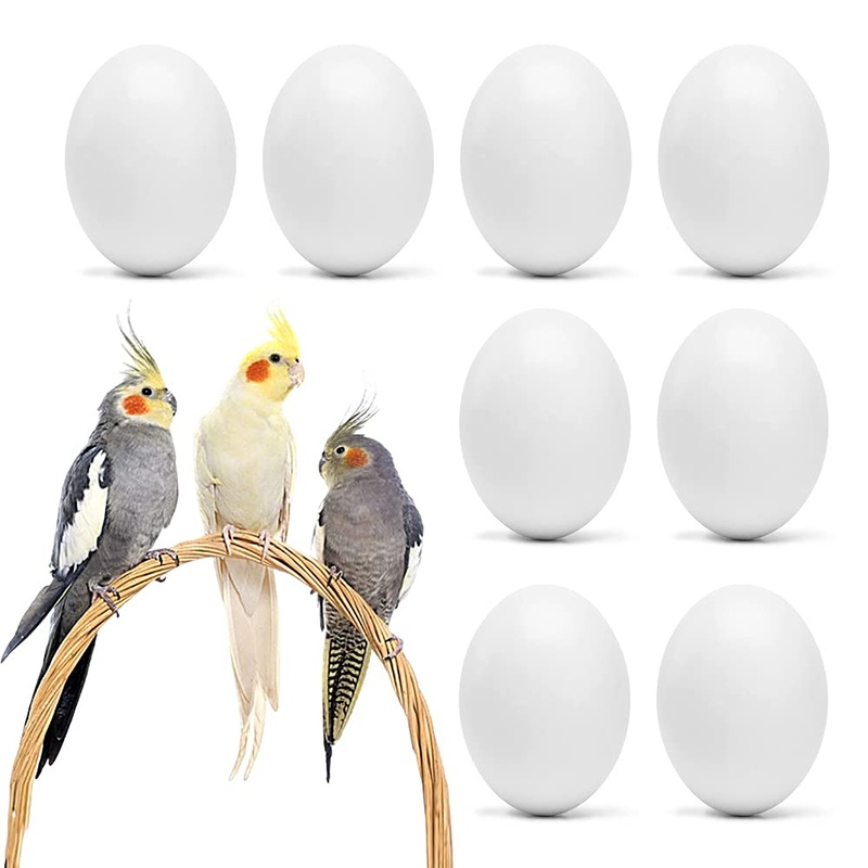 8Pcs Fake Bird Eggs, Stop Egg Laying fit Cockatiels, Green Cheeks, Lovebird, Ringneck Dove, Lorikeet, Bourke Parakeet, Quaker Parrots