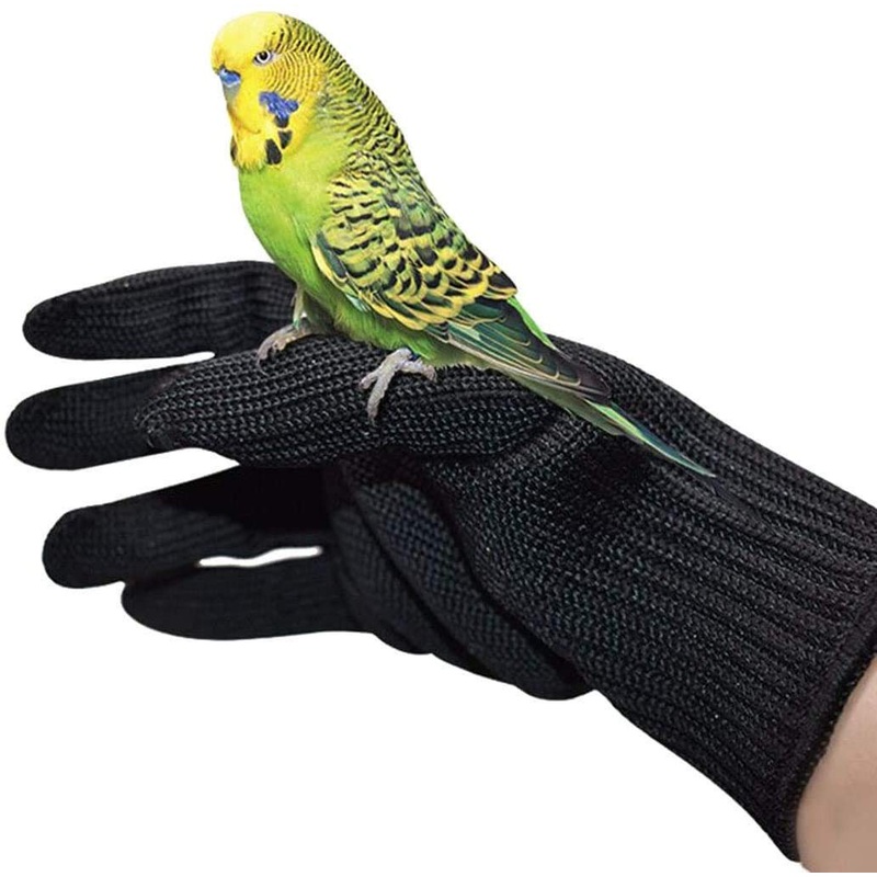 alfyng Bird Training Anti-Bite Gloves, Small Animal Handling Gloves, Chewing Protective Gloves for Small Animal Pet Squirrels Hamster Parrotlets Cockatiels Finch Macaw (1 Pair) Black