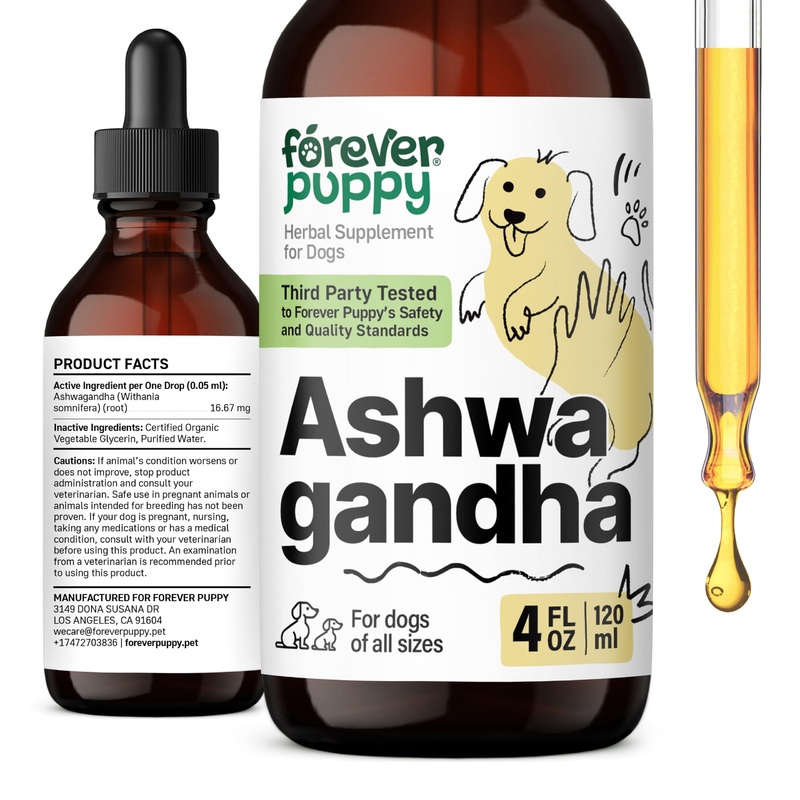 Ashwagandha Drops for Dogs – Calming Care with Ashwagandha Root Tincture – Liquid Alternative to Calming Chews for Dogs’ Composure & Relaxation – Canine Vitamins and Supplements – 4 oz 4 fl oz
