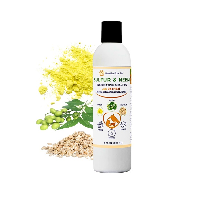 Healthy Paw Life’s Sulfur & Neem Restorative Shampoo with Oatmeal