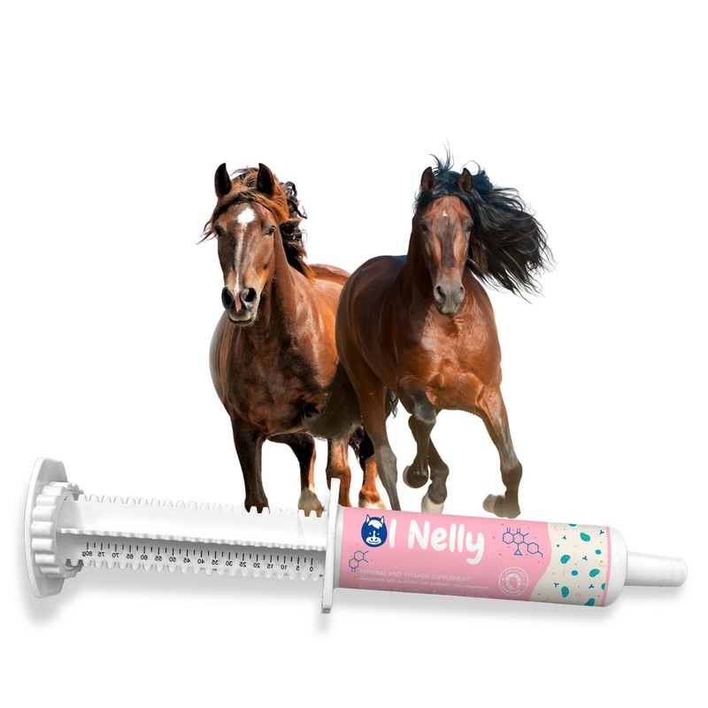 Horse Probiotics, Horse Paste Pre and Probiotics- Pre and Probiotics for Horses +Vitamins &Minerals- 4 Strains and 8 Billion CFU Serving- Immune and Gastro Health Support for Equines (80cc) Horse Probiotic Pack of 1