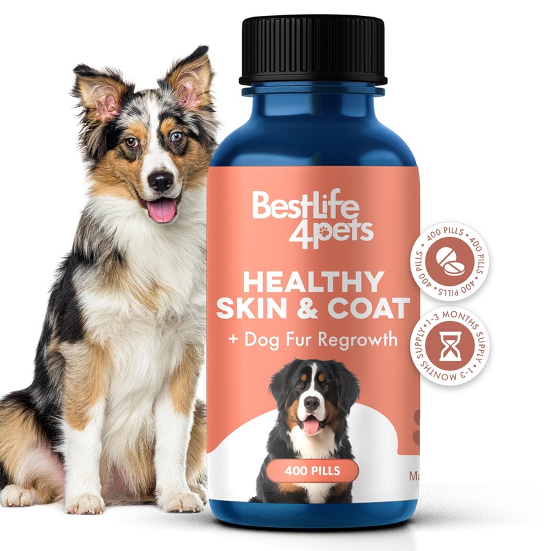 Natural Skin & Coat Supplement for Dogs, Large and Small, Dog Anti Itch Relief for Dry Skin, Rash, Allergy or Irritation, Reduces Shedding, Dandruff and Supports Dog Hair Growth, 400 Small Pills