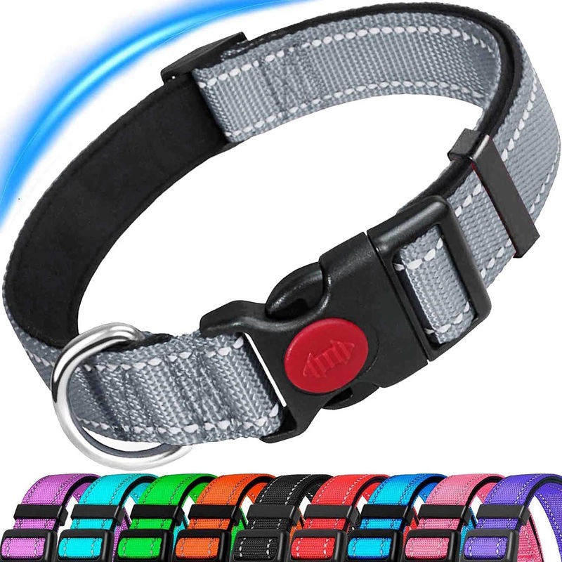 ATETEO Dog Collar, Reflective Adjustable Basic Dog Collar with Soft Neoprene Padding, Durable Nylon Pet Collars for Puppies Small Dogs Gray XS (Pack of 1)