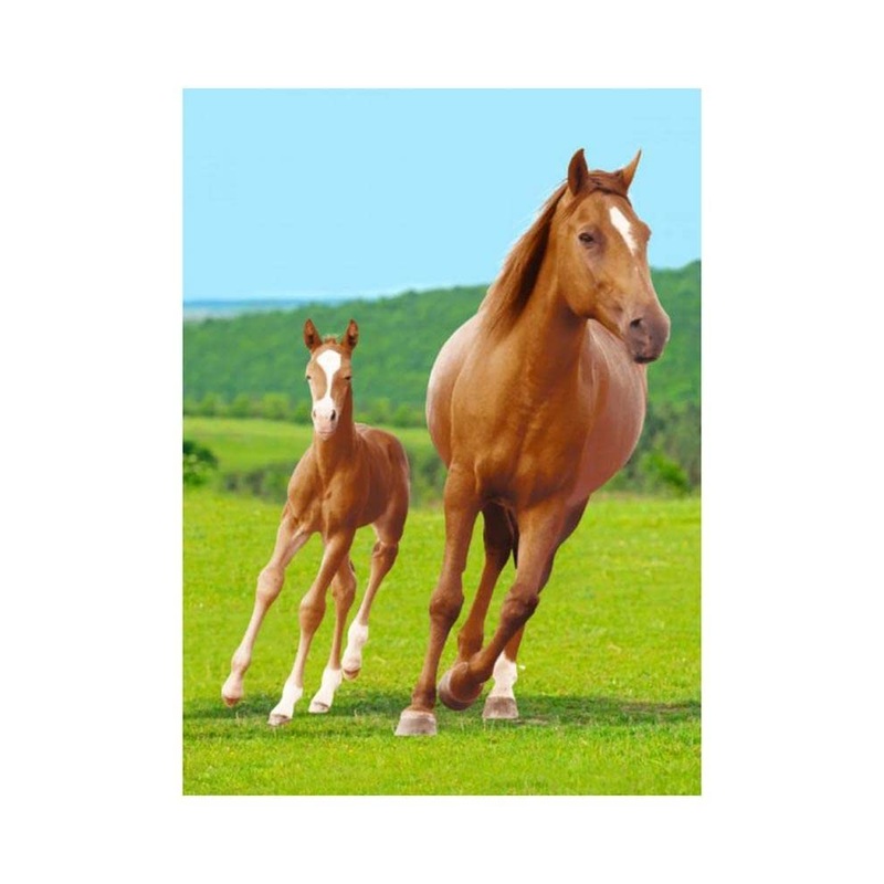BrandMac cuddly blanket microfiber fleece blanket with horse and foal 100 x 140 cm