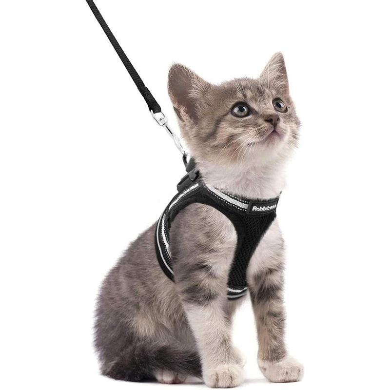 Cat harness with leash – Cat Harness – Cat harness for Maine Coon and for large cats – Cat leash – 1 piece (Schwartz S) – Cat harness with leash for GOOD QUALITY