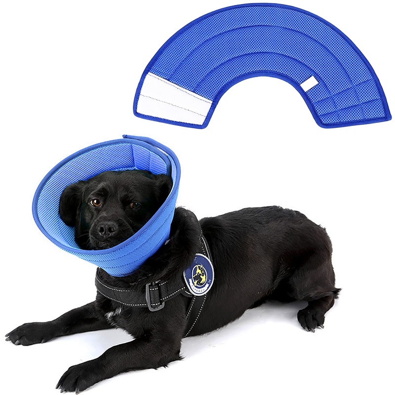 Dog Neck Collar, Quicker Healing Pet Recovery Cone, Soft Edges, for the Recovery of Dogs and Cats After Operations, Protective Dog Collar, Prevents Dog Bites and Scratches (Size 6)