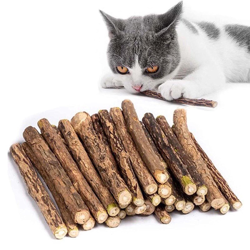 Pack of 30 catnip sticks for cats, matatabi stick cat sticks, matatabi chewing sticks as cat toys, chewing wood cat catnip sticks (catnip stick) catnip stick