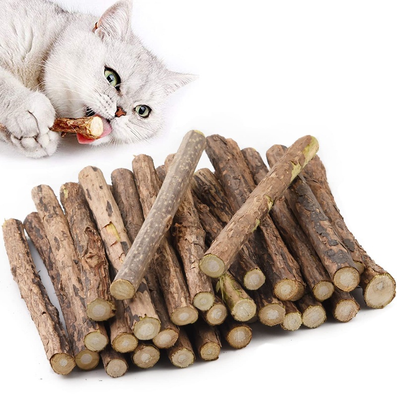 Pack of 30 catnip sticks, Matatabi cat chewing sticks, Matatabi chewing sticks as cat toys, catnip sticks for grinding teeth, Matatabi dental care