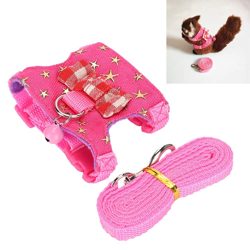 Small Animal Harness Pet Squirrel Vest Harness Small Animals Harness and Leash Set Hamster Harness Leash for Ferrets, Guinea Pigs, Small Animals (SS