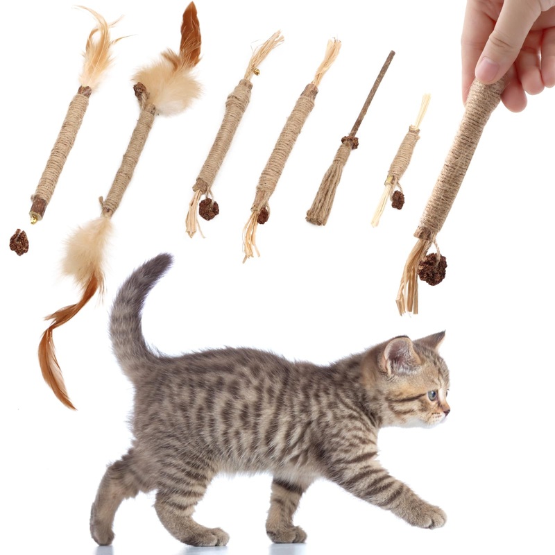 SPOKKI 6 pieces catnip sticks, cat toy set, matatabi stick for cats, dental care, removal of tartar and refreshing breath, organic interaction
