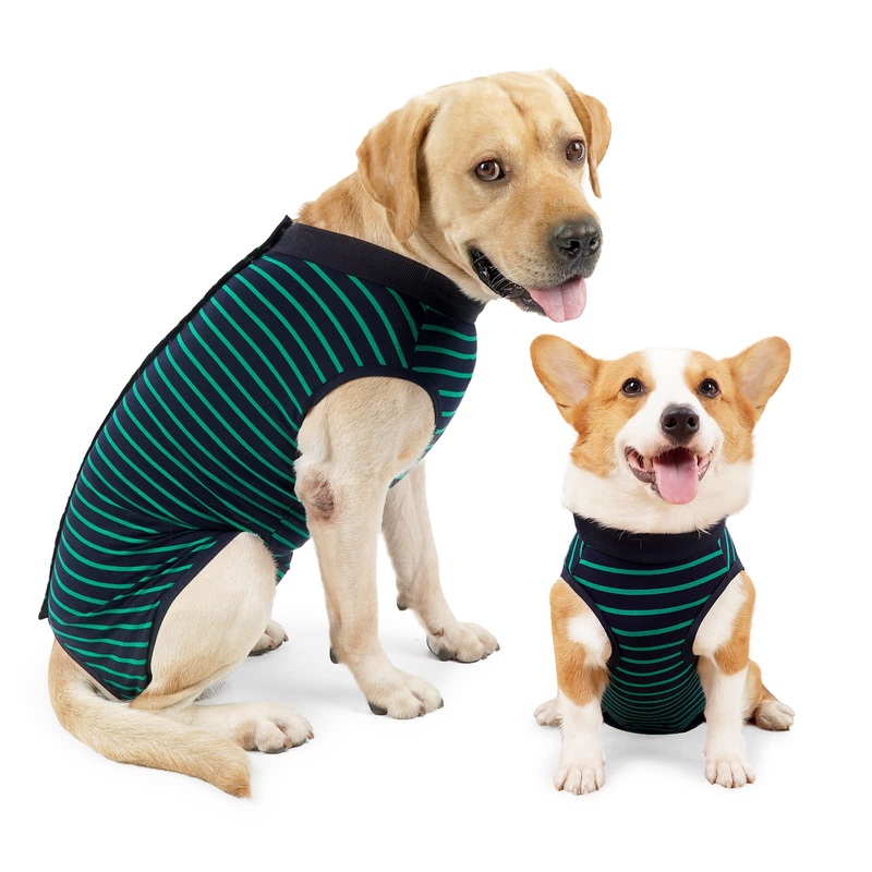 Dog Onesie Breathable Surgical Abdominal Wound Skin Protection Anti Leak Cone E-Collar Alternative Post Surgery L (Pack of 1) Green Stripes