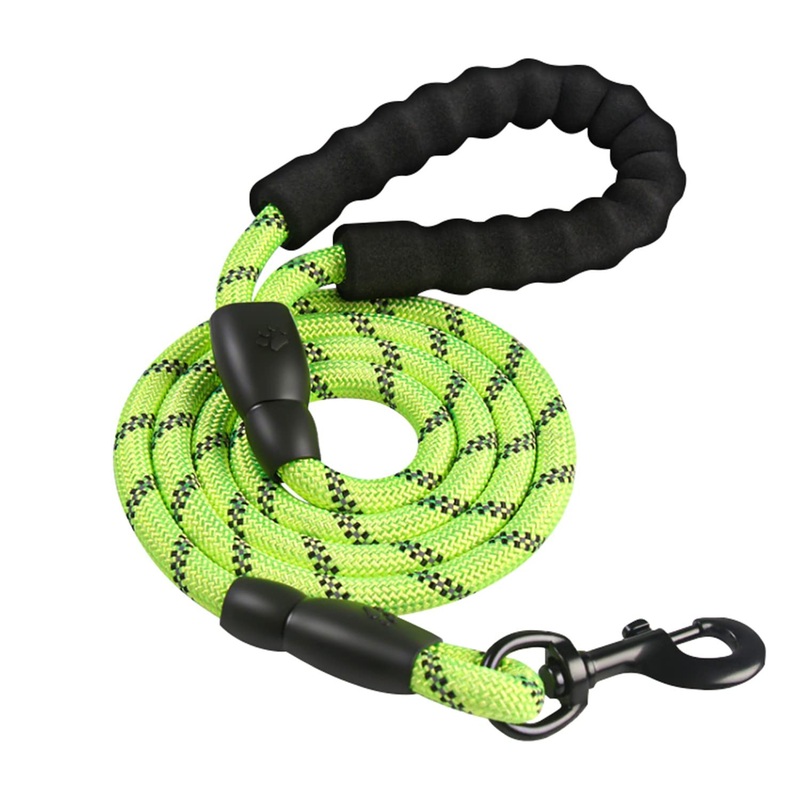 Intirilife Reflective Nylon Dog Lead Pet Lead in Green with 1.5 Meters Length for Walking with Your Pet