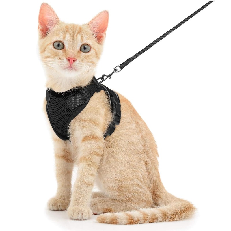 Cat Harness with Leash Adjustable Black Cat Soft Harness for Cat Chest Harness Cat Harness Cat Harness Cat Harness with Leash Escape-Proof (S, Black)