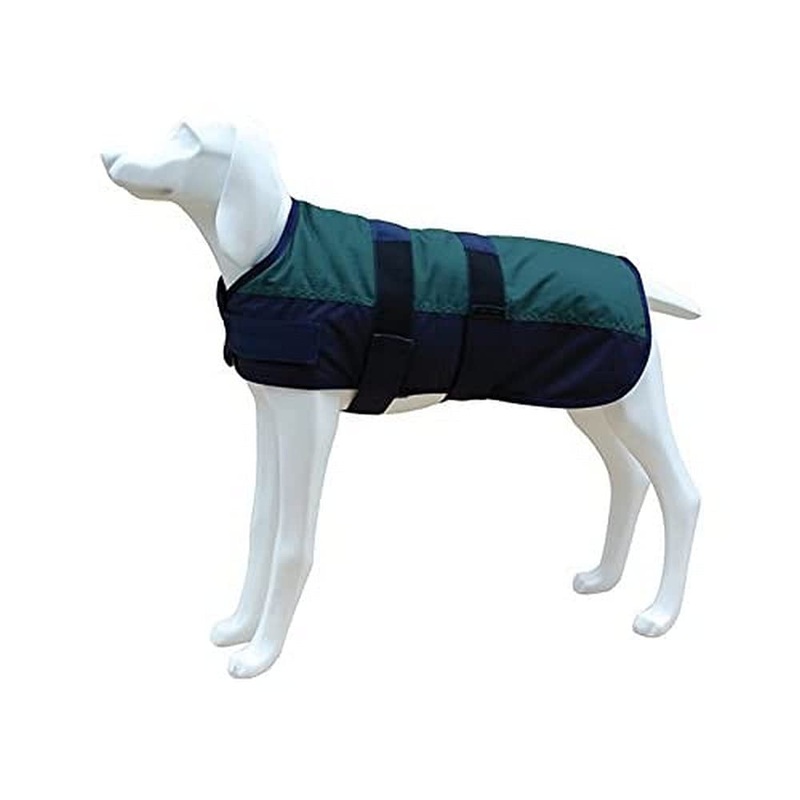 Freedog FD5000979 – Waterproof coat, for dog, green color