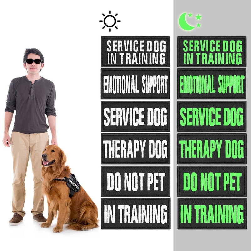 Molain Set of 6 Reflective Dog Vest Patches Removable Dog Harness Patches with Hooks Custom Name Patch – Service Dog In Training Therapy Do Not Pet 6 Pieces (9 x 4 cm)