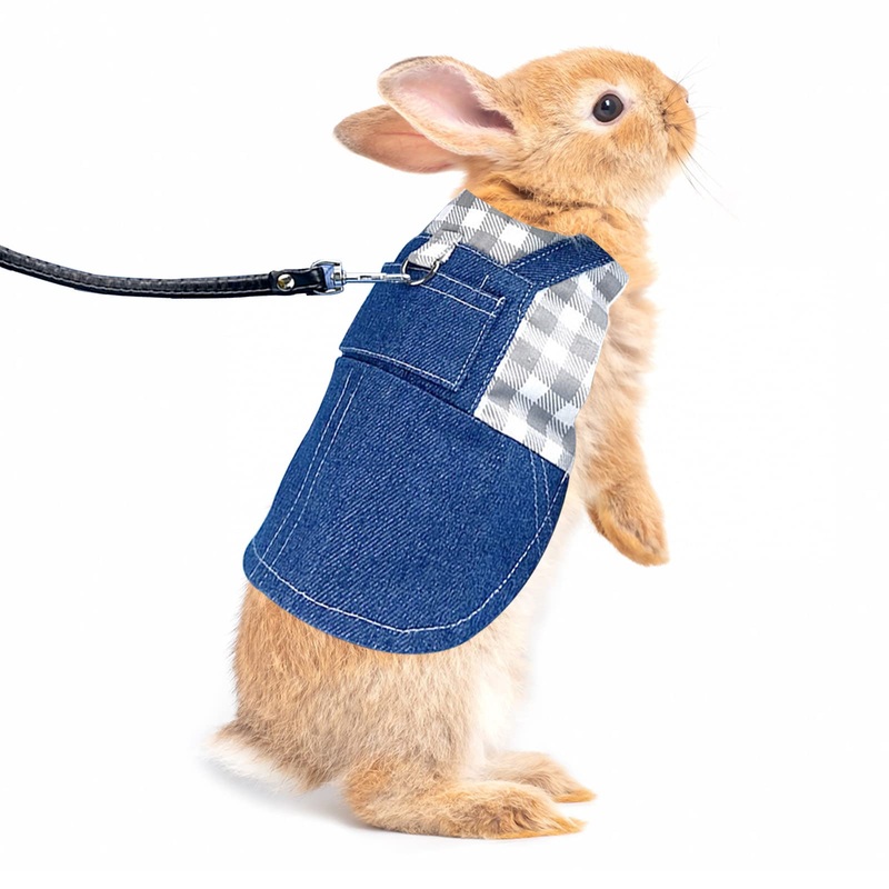 Rabbit Harness and Leash with Elastic Leash Harness Small Animal Harness Soft Harness Clothes for Rabbits Elastic Breathable for Rabbits, Ferrets, Guinea Pigs, Hamsters (Grey, S) Grey, S