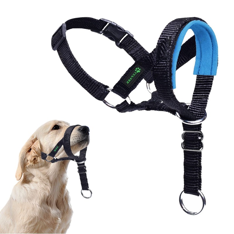 Dog Halter with Seat Belt Head Harness for Dogs to Stop Pulling, Adjustable and Easy to Control (L, Blue) L