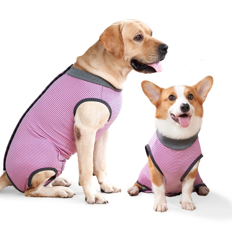 Dog Onesie Breathable Surgical Abdominal Wound Skin Protection Anti Leak Cone E-Collar Alternative Post Surgery M (Pack of 1) Pink