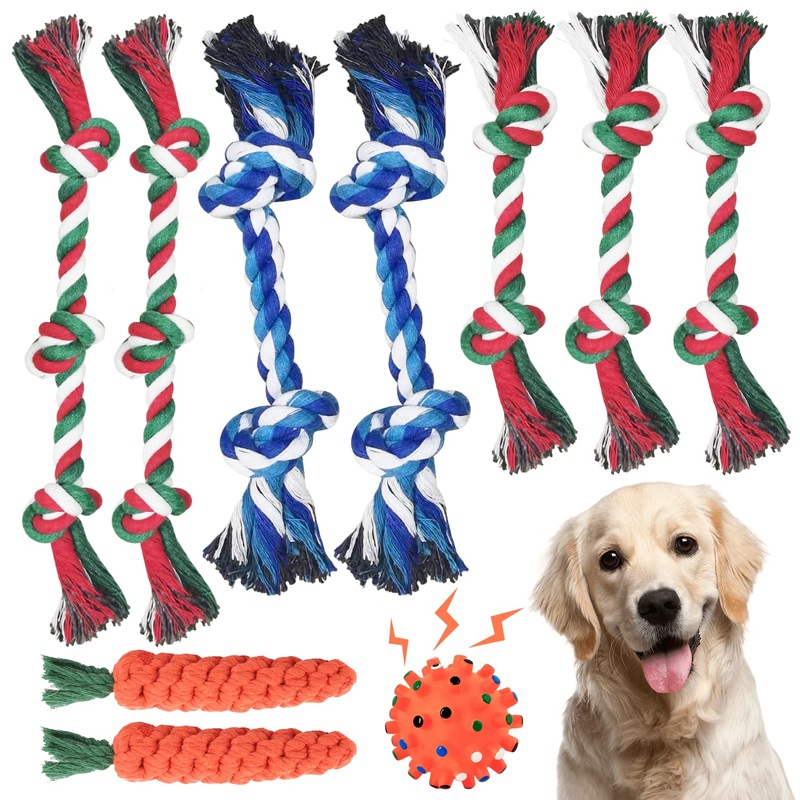 GENPAR dog chew toy, dental training, dog toy rope, puppy toy set, chew toy for small dogs and puppies, 100% natural cotton. (10-piece set) P009