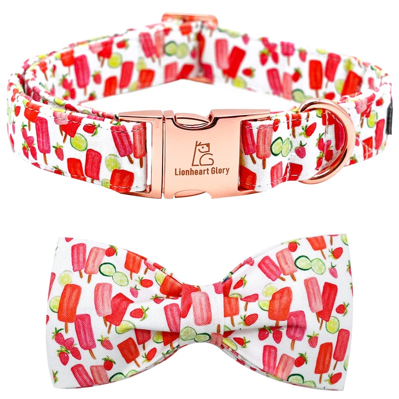 Lionheart Glory Dog Collar, Dog Collar with Bow, Popsicle Stick Print Girl or Boy Dog Bow Tie Collar Cute Pet Collar Gift for Large Dog X-Large (Pack of 1) Popsicle
