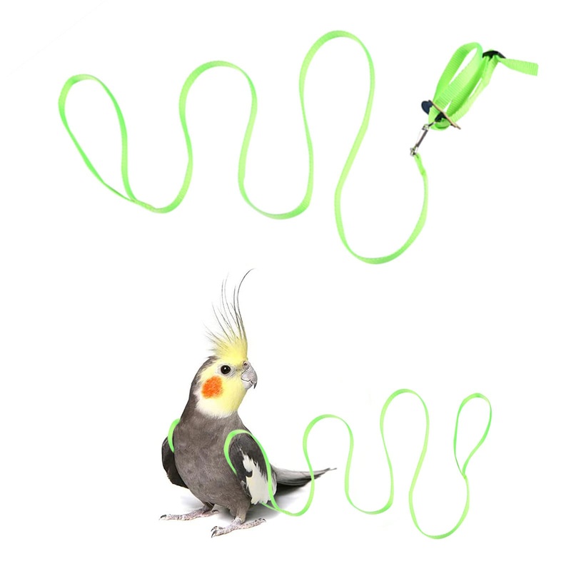 Pet Parrot Bird Harness, Bird Harness Leash, Bird Harness and Leash for Parrots Adjustable, Anti-bite Flight Training Rope Pet Traction Outdoor Fit Budgie Cockatiel Mynah