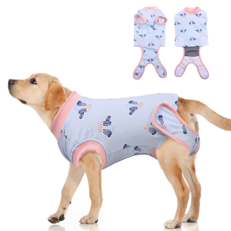 PUMYPOREITY Recovery Suit Dogs, Recovery Suit Wound Protection Suits for Puppies Dog Bodysuit after Surgery Postoperative Care Protective Clothing Wounds Anti-Licking E-Collar Alternative after Surgery (Blue, S) Blue