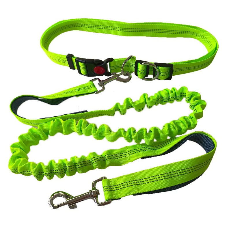 QitinDasen Green Hands-Free Dog Lead, Adjustable Waist Belt and Dual Handles Stretchy Bungee Lead, Jogging Dog Lead with Reflective Stitching (Grey Handle)