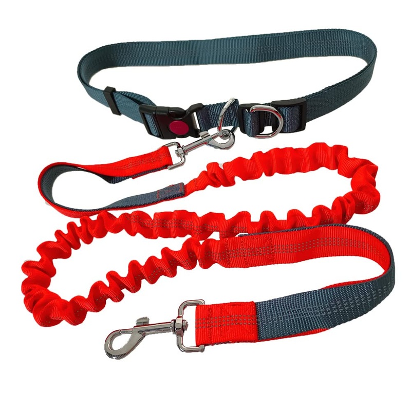QitinDasen Hands-Free Dog Leash, Gray Adjustable Waist Belt and Orange Stretchy Bungee Leash, Jogging Dog Leash with Reflective Stitching
