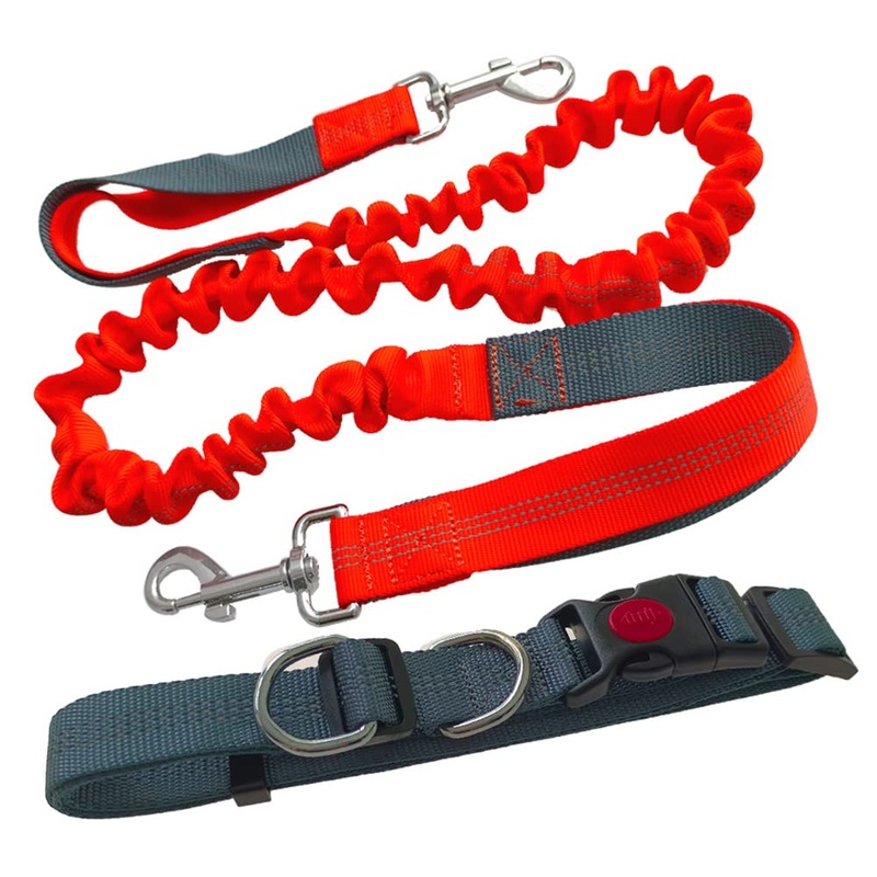 Aiqeer Hands-Free Dog Leash, Gray Adjustable Waist Belt and Orange Stretchy Bungee Leash, Jogging Dog Leash with Reflective Stitching