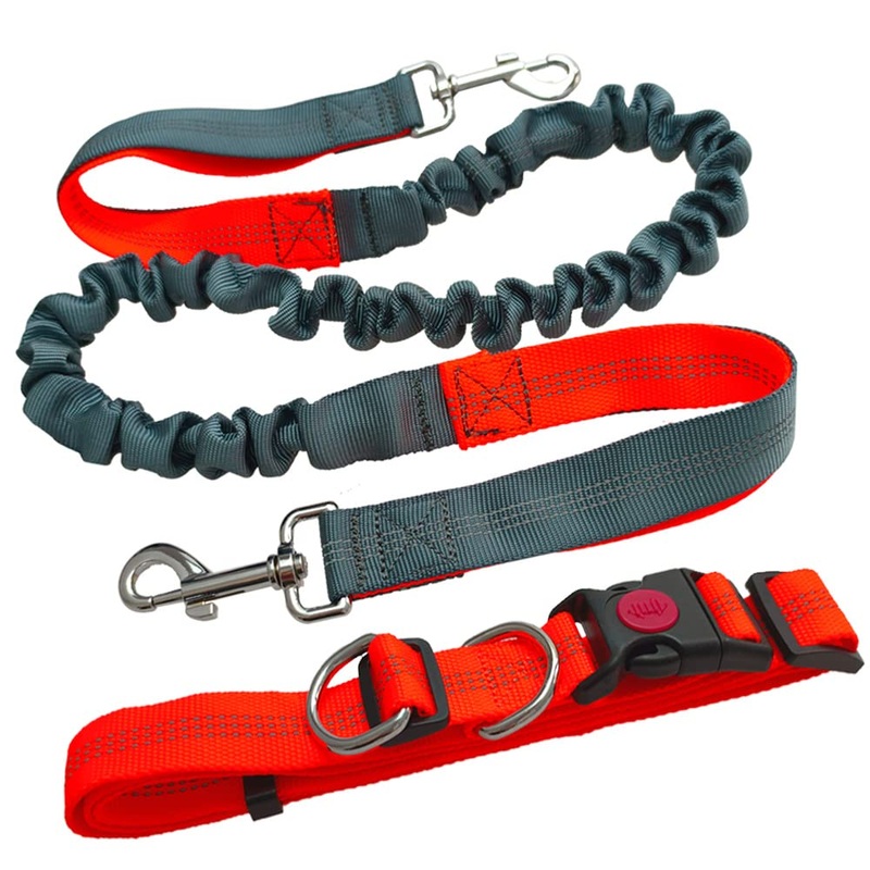 Aiqeer Hands-Free Dog Leash, Orange Adjustable Waist Belt and Gray Stretchy Bungee Leash, Jogging Dog Leash with Reflective Stitching