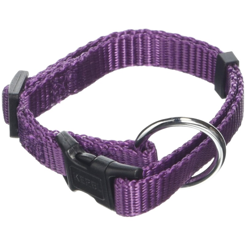 Kerbl Miami Collar, Purple, 15 mm, Adjustable 30-45 cm 15 mm (Pack of 1)