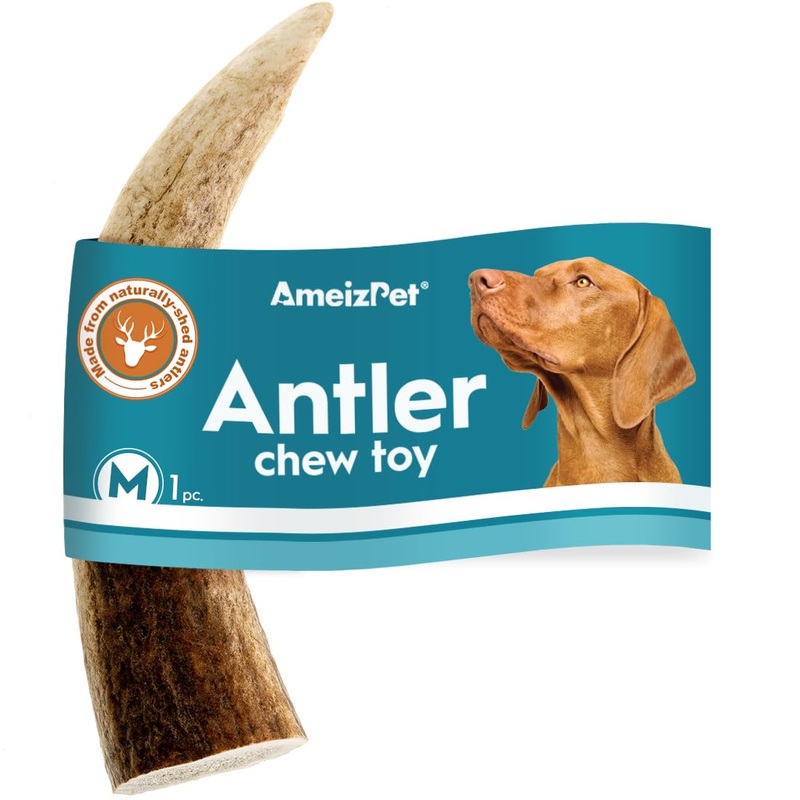 AmeizPet Antlers for dogs, natural, durable dog chew bone, deer chew bone for the dog, deer antler, long-lasting – 1 piece M size M size 1 pc
