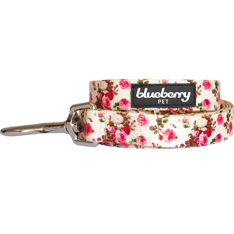 Blueberry Pet New 1.5cm by 150cm Spring Scent Inspired Pink Roses Pattern Ivory Small Basic Nylon Dog Leashes, S Small Dog Leash, Matching Dog Collar Available Separate 1.5cm x 150cm Leash – Ivory