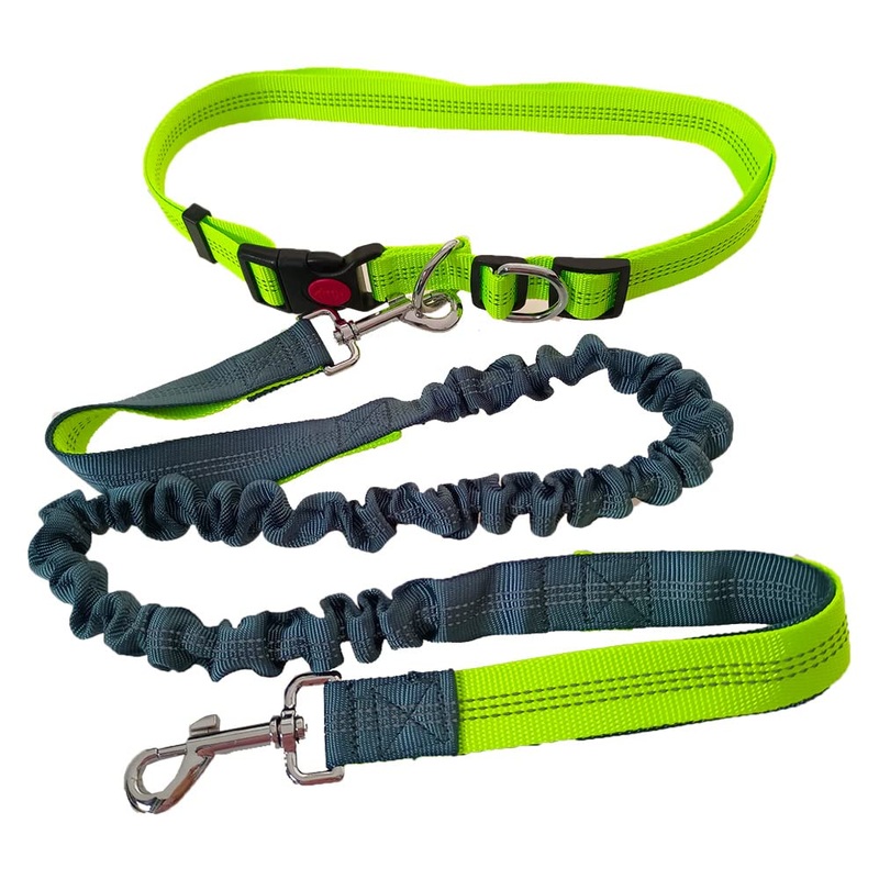 QitinDasen Hands-Free Dog Leash, Green Adjustable Waist Belt and Gray Stretchy Bungee Leash, Jogging Dog Leash with Reflective Stitching