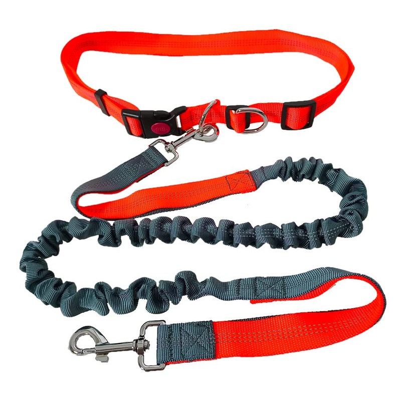 QitinDasen Hands-Free Dog Leash, Orange Adjustable Waist Belt and Gray Stretchy Bungee Leash, Jogging Dog Leash with Reflective Stitching