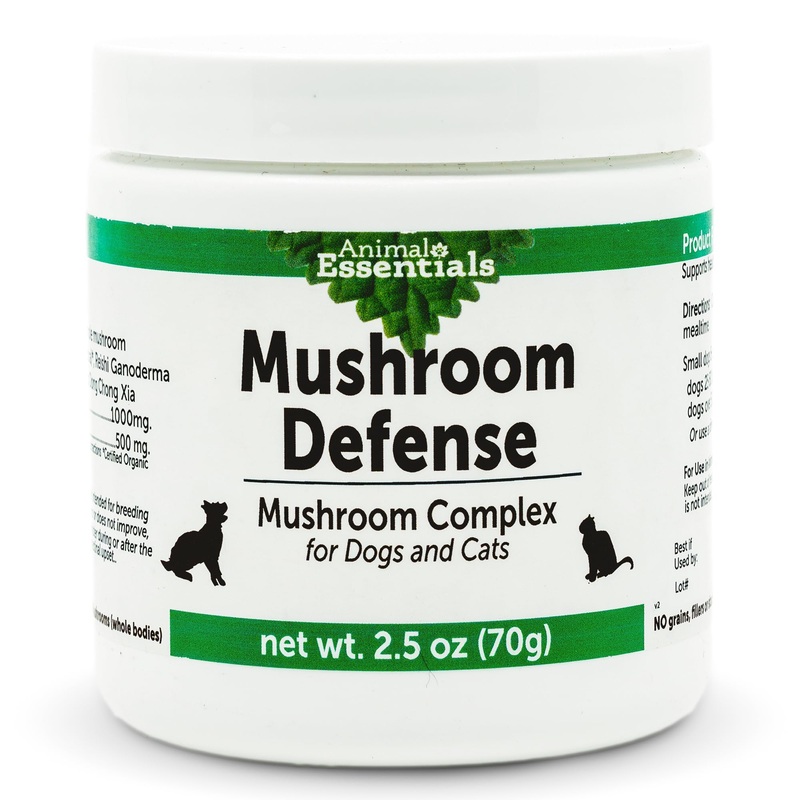 Animal Essentials MUSHROOM DEFENSE Supplement for Dogs & Cats – Critical Immune Defense, Reishi, Maitake, Cordyceps, Mushroom Powder Extract – 2.5 Oz (Pack of 1)