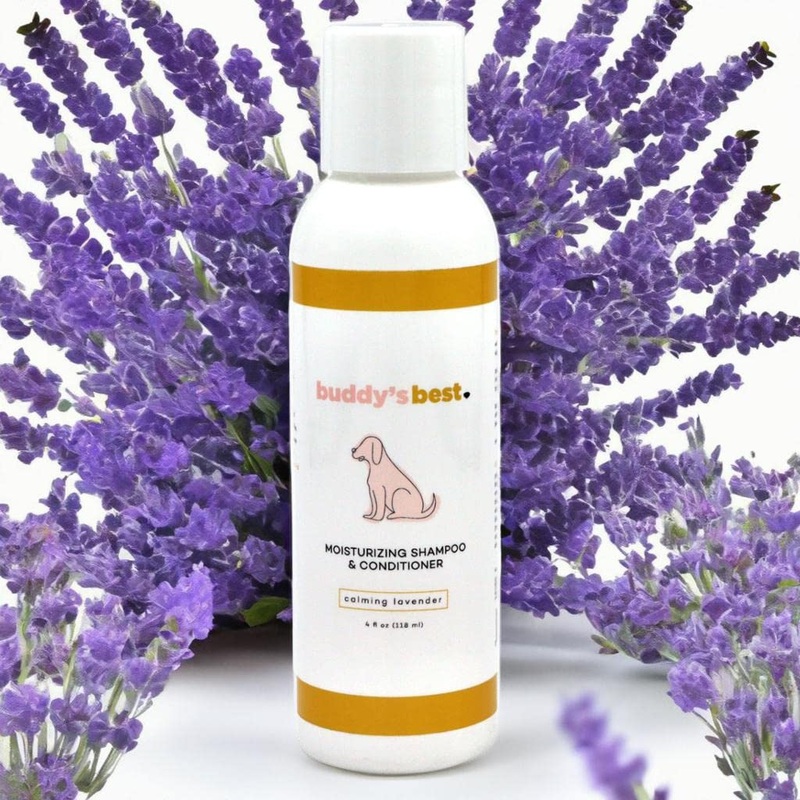Buddys Best 4oz Travel-Size Dog Shampoo and Conditioner with Shea Butter, Oatmeal, Biotin, and Aloe Vera, Alcohol-Free Deep Moisturizer for Dry, Itchy Skin and Coats (Calming Lavender) Calming Lavender