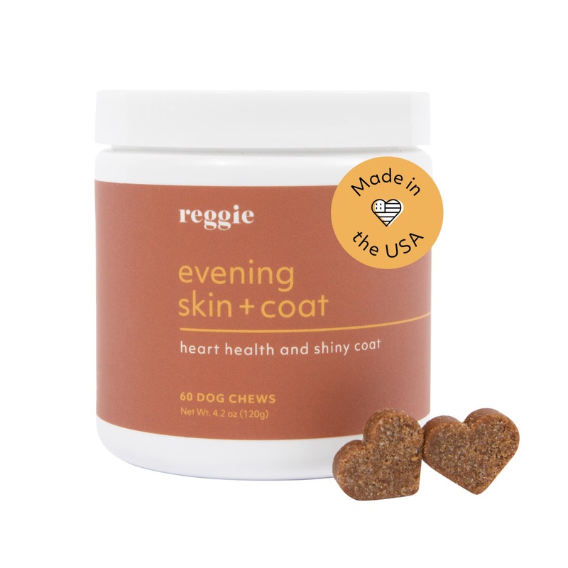 Reggie Evening Skin + Coat Supplements for Dogs | Relieves Itchy/Dry/Flaky Skin & Shedding | Made in The USA, Vet-Approved & Ideal for All Ages, Breeds, and Sizes – 60 Soft Chews