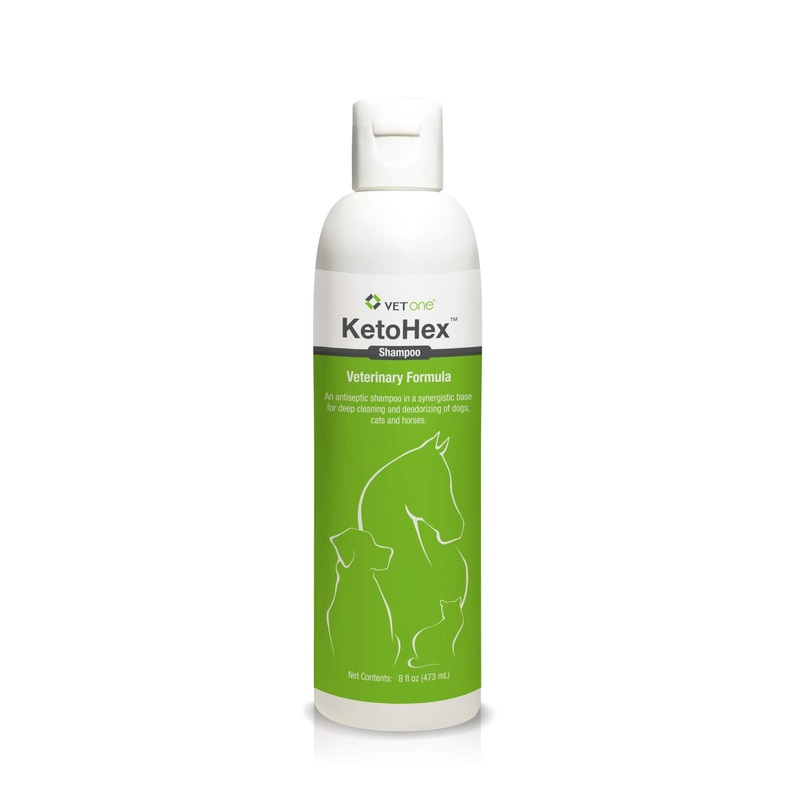 Vet One Dog Allergy Shampoo – Vet formula dog Shampoo for Dogs 8 oz