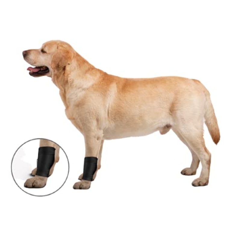 ZenPet Ligament Wrap for Dogs (Small) Small