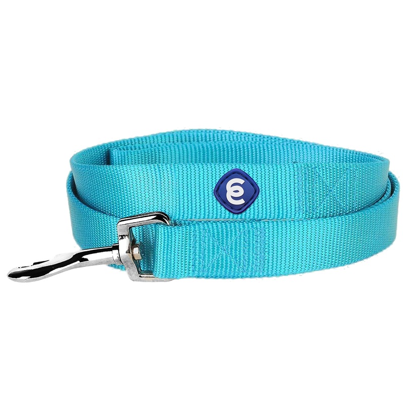 Blueberry Pet 2cm by 150cm Classic Plain Basic Nylon Dog Leads Durable – Medium Turquoise, M, Matching Dog Collar & Harness Available Separate 2cm x 150cm
