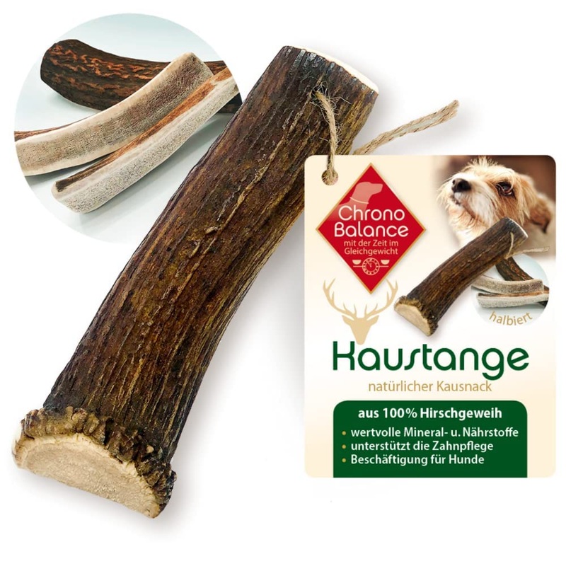 ChronoBalance Antler Chew Stick for Dogs: M Chew Toy Dental Care Chew Stick Made of 100% Deer Antler: Dog Toy Chew Root Treat Chew Wood Dental Hygiene Chew Bone Set: Naturally Safe Robust M (Pack of 1)