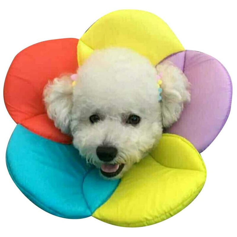 DELIFUR Dog Collar Pet E-Collar Elizabethan Dog Collars Recovery Pet Cone for Cats and Small Dogs Breathable Soft Edge and Easy to Clean (M) Medium Multicolored