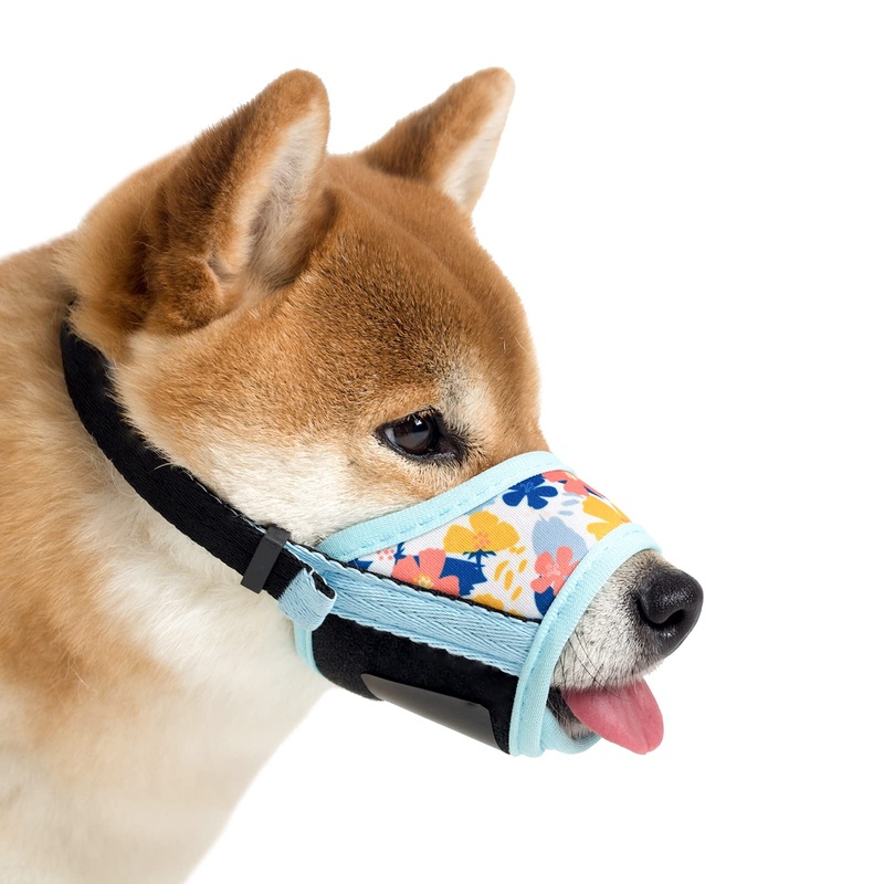 Dog Muzzle, Soft Nylon Muzzle with Motif, Anti-Bite, Anti-Barking, Anti-Yacking for Small, Medium and Large Dogs (XS, Blue Flower) XS Blue Flower