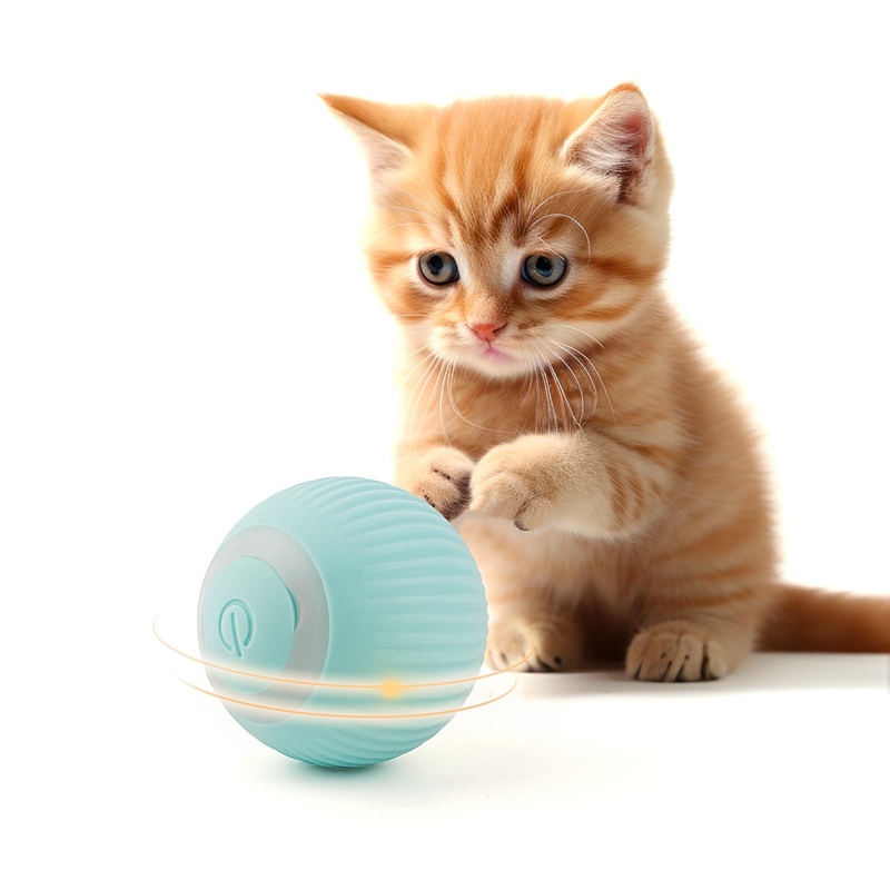 Enjoying Cat Toy Ball Interactive Cat Ball with LED Light & USB Rechargeable Rolling Balls, Automatic Movement, 2 Modes for Cat Kitten Exercise, Blue