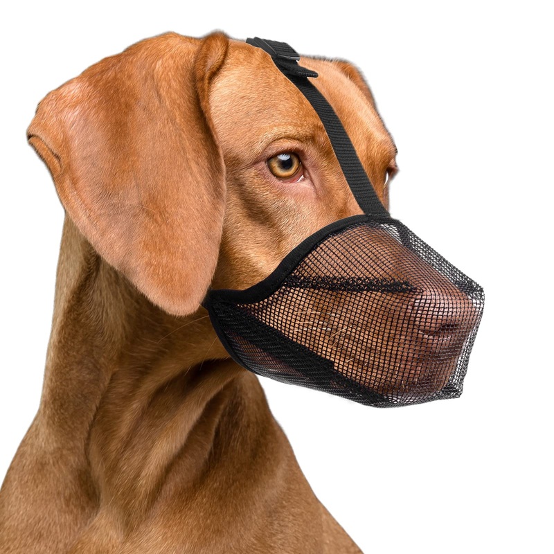 ILEPARK Dog Muzzle with Rounded Mesh, Breathable Muzzle for Small, Medium and Large Dogs, Prevents Eating, Biting and Chewing (M, Black) M