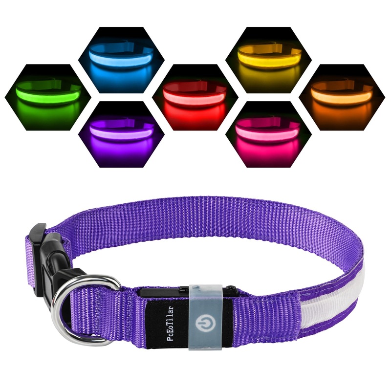 Light Up Dog Collar Rechargeable USB-C, LED Collar for Dogs Waterproof Dog Collar Luminous 7 Colors Flashing Light Adjustable Lightweight Collar Dogs for Small Medium Large Dogs, Purple SS(28-40cm/11-15.7inch)