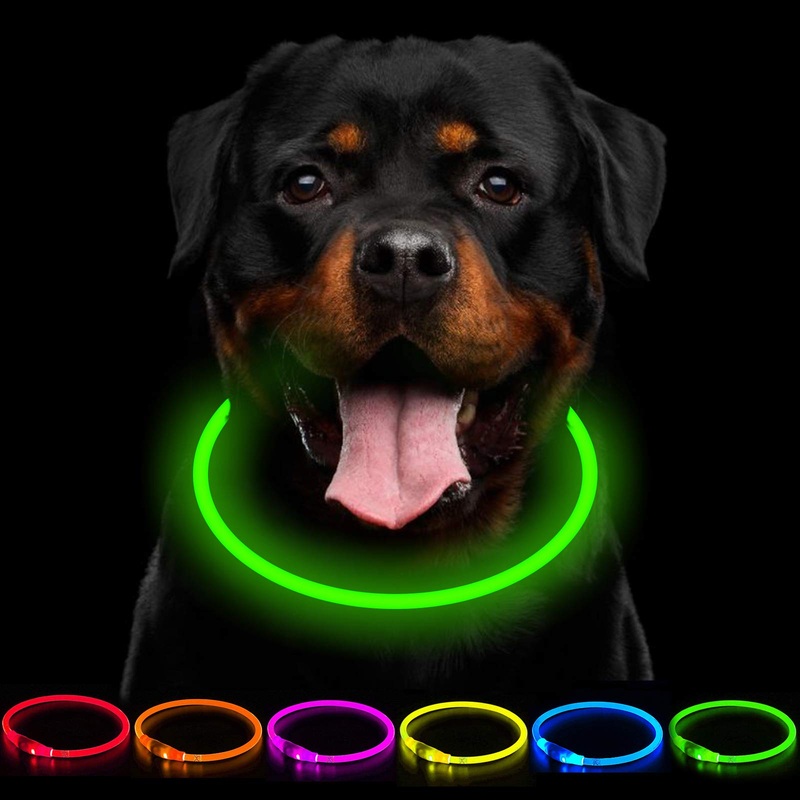 CCWW LED light collar dog collar USB rechargeable – length adjustable pet safety collar for dogs and cats – 3 modes green