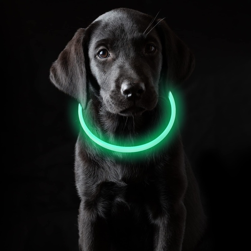 Coolzon LED light collar, rechargeable dog collar, waterproof dog collar, 3 modes, light band, dog collar, length adjustable, super bright collar, cat and dog, small, large, medium, green