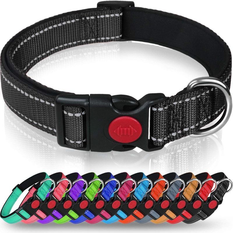 Taglory Dog Collar, Soft Padded Neoprene Nylon Dog Collar for Small Dogs, Adjustable and Reflective for Training, Black S (Pack of 1)